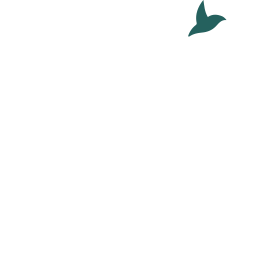 Diezedokters